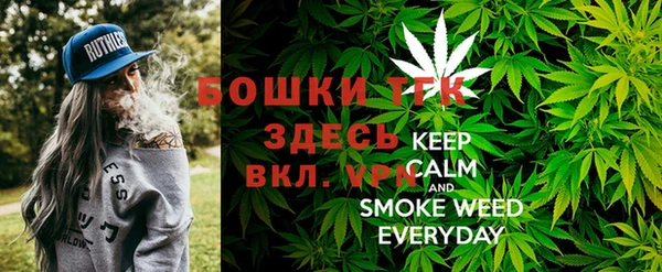 дживик Богородицк