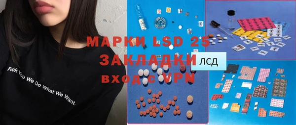 дживик Богородицк