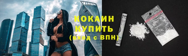 дживик Богородицк