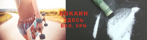 ГАЛЛЮЦИНОГЕННЫЕ ГРИБЫ Богданович