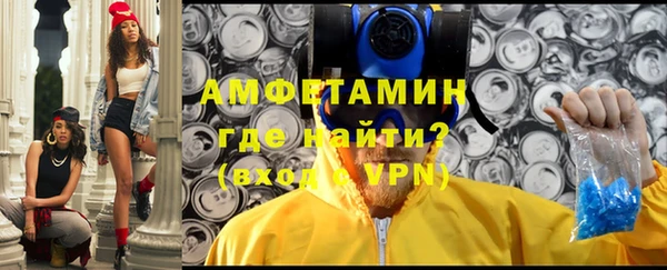 ГАЛЛЮЦИНОГЕННЫЕ ГРИБЫ Богданович