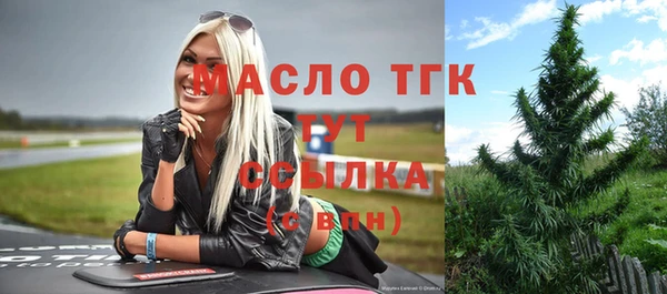 дживик Богородицк