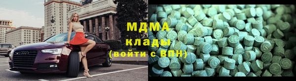 ГАЛЛЮЦИНОГЕННЫЕ ГРИБЫ Богданович