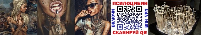 Псилоцибиновые грибы GOLDEN TEACHER  Кореновск 