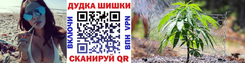 мориарти Telegram  Кореновск  Каннабис индика 